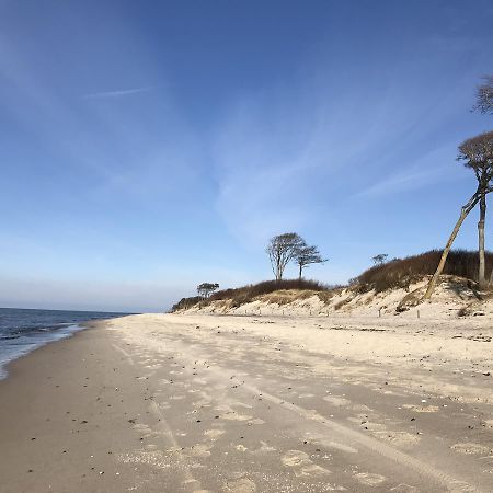 Ferienwohnung Tiffany Prerow Kültér fotó